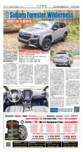 Djyatl_1585 20260109_C02.jpg